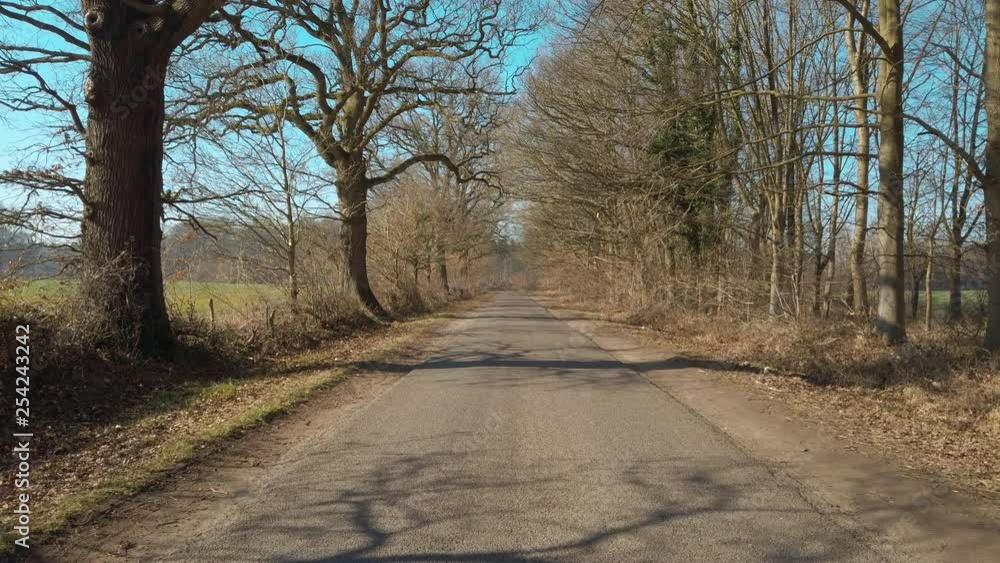 Walking along a sunny country road Walking along a sunny country road