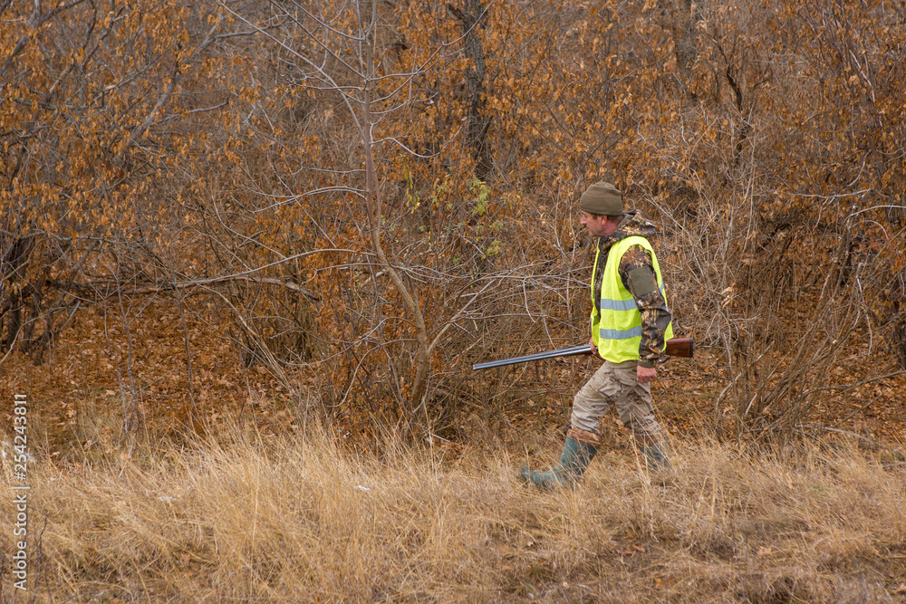 Hunters with a german drathaar and spaniel, pigeon hunting with dogs in reflective vests Hunters with a german drathaar and spaniel, pigeon hunting with dogs in reflective vests