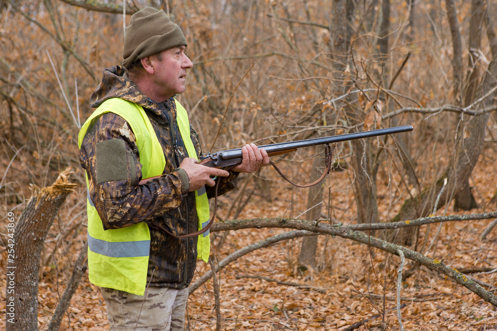 Fototapeta premium Hunters with a german drathaar and spaniel, pigeon hunting with dogs in reflective vests 