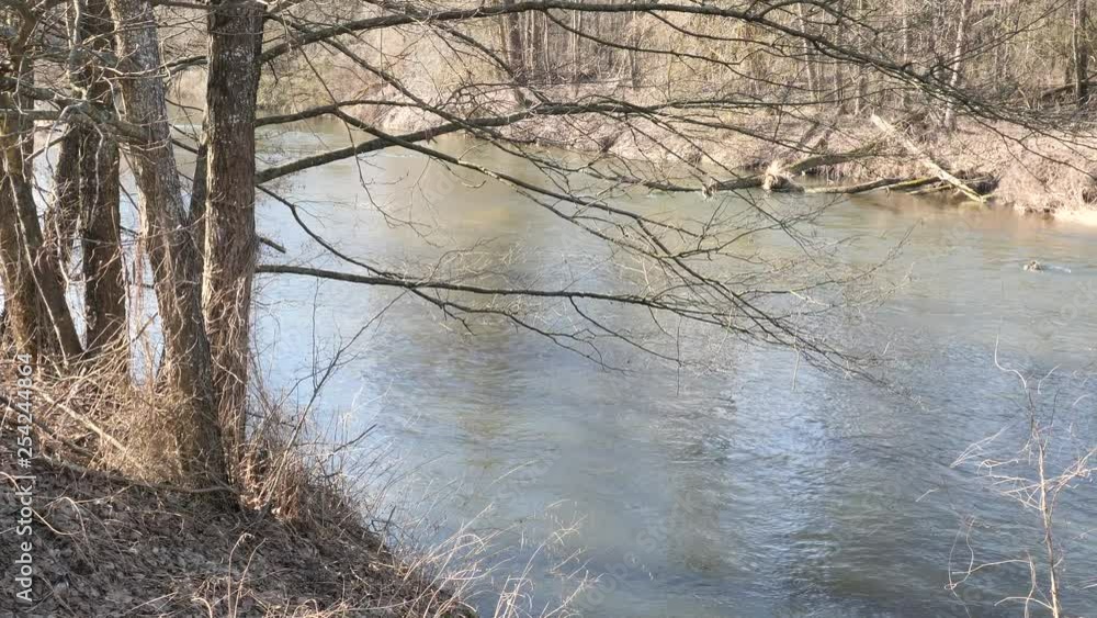the beginning of spring. wild fast river among the thickets the beginning of spring. wild fast river among the thickets