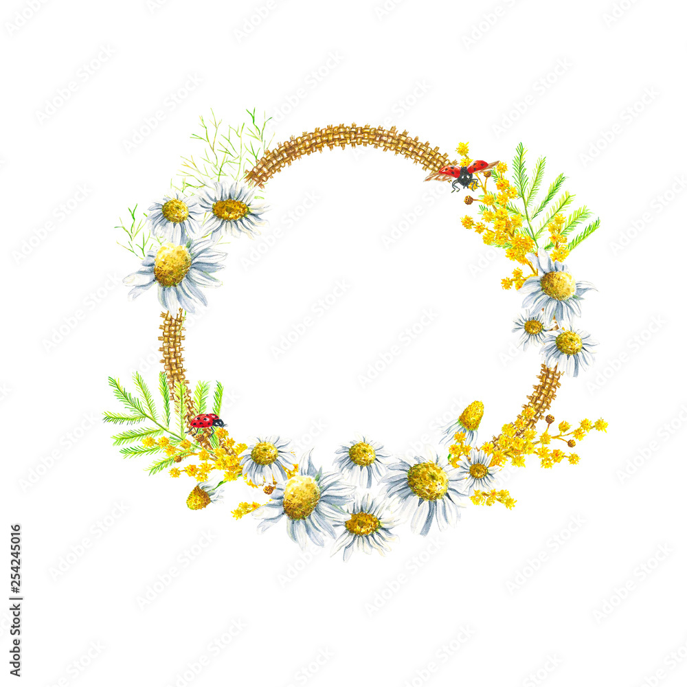 Fototapeta premium Spring hand drawn watercolor camomile daisy and mimosa round frame