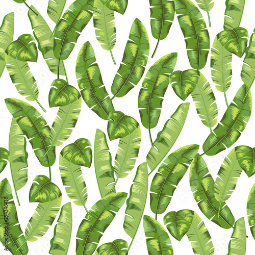 Green banana leaves on white background. Seamless pattern. Vector.