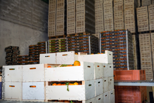 Stacks of fruit boxes with fresh ripe mandarin oranges in storage warehouse