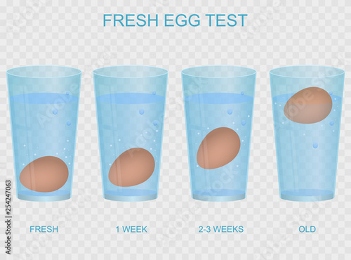Realistic 3d Detailed Fresh Egg Test Concept Card Poster. Vector