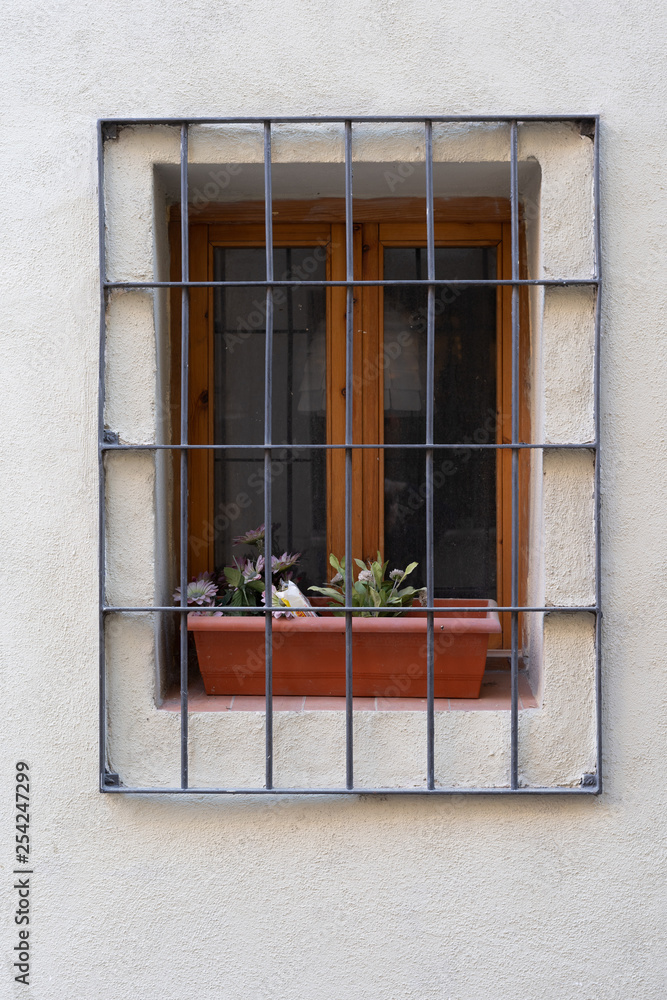 Obraz premium Window with bars and a pot of plants