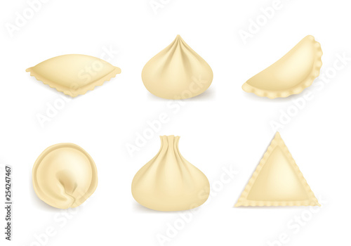 Realistic 3d Detailed Dumplings Set Traditional Tasty Food. Vector