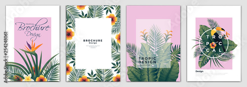 Tropical Brochure Design Layout Template in A4 size, greeting cards. Frame with tropic leaves. Ideal for party poster, greeting card, banner or invitation. Vector Illustration #254248061