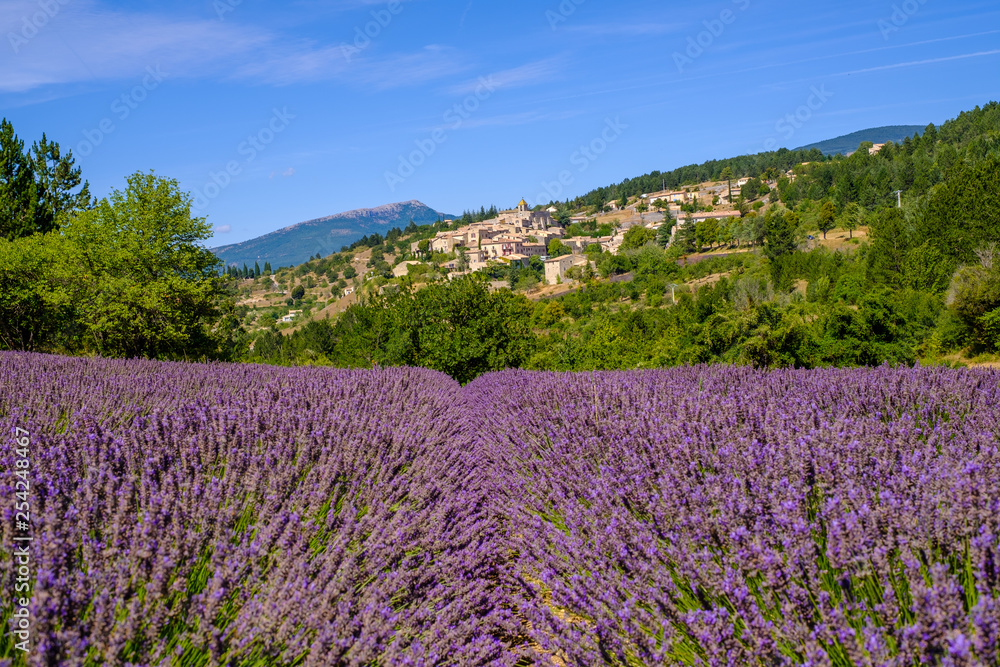 Fototapeta premium Vue sur le village Aurel en Provence, France. Champ de lavande au premier plan. 