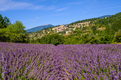 Vue sur le village Aurel en Provence, France. Champ de lavande au premier plan.	