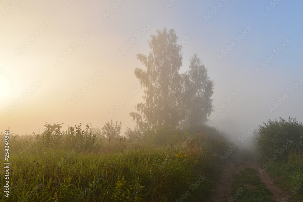 Summer landscape with vegetation and bright light of the rising sun Summer landscape with vegetation and bright light of the rising sun
