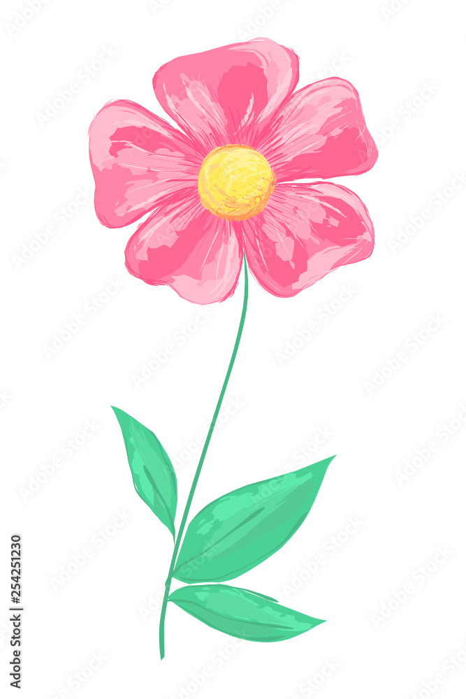 Vector illustration of beautiful pink flower. Imitation of hand drawn painting.