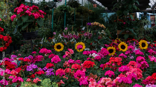 Botanical garden © Jessica