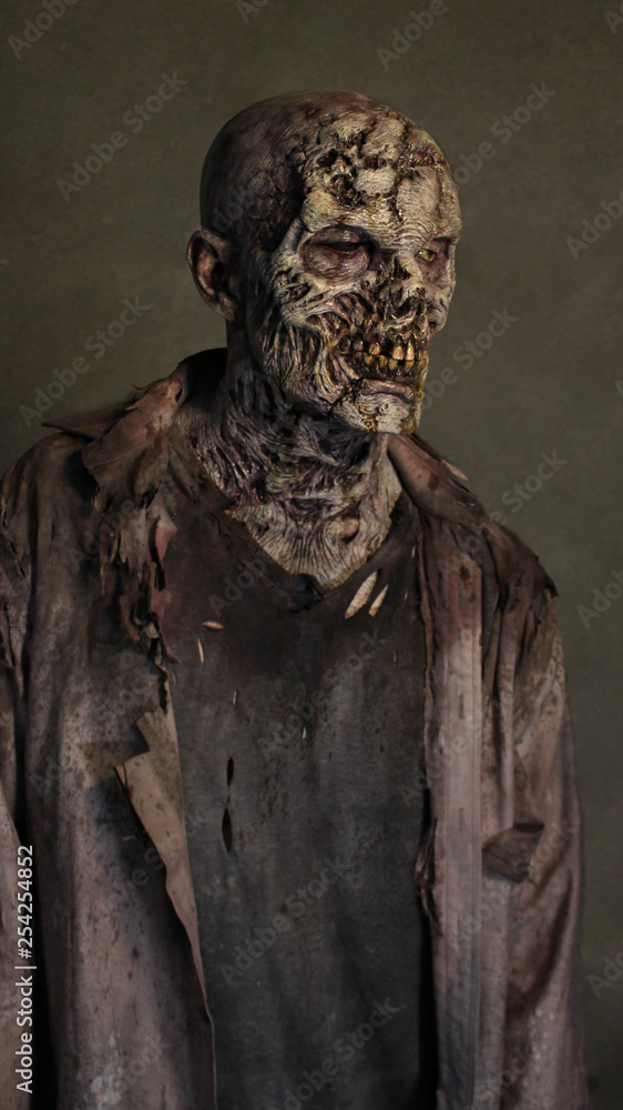 Decayed Zombie