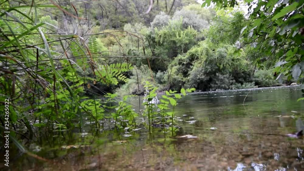 Clear water swamp flowing river in the country of Croatia with pebbles being thrown
(low angle shot) Clear water swamp flowing river in the country of Croatia with pebbles being thrown
(low angle shot)