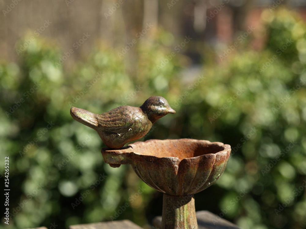 Obraz premium Watering for birds