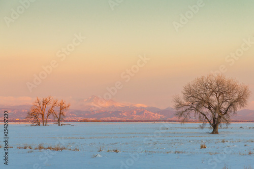 Snowy field with Longs Peak in the distance, taken in the Rocky Mountain Arsenal Wildlife Refuge, Colorado, USA. © Colophotos