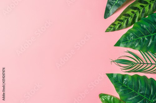 Palm leaf background concept.