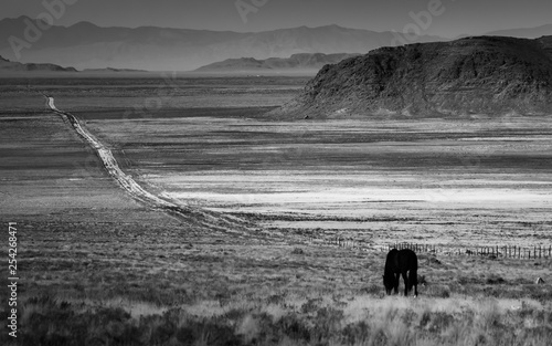 Lonely Road photo