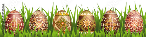 Pysanky easter eggs in grass isolated on white. Traditional ukrainian easter eggs.