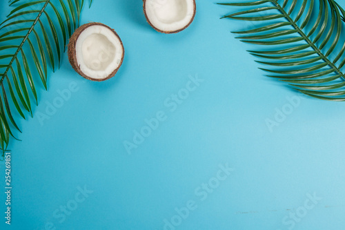 Coconut background tropical concept.