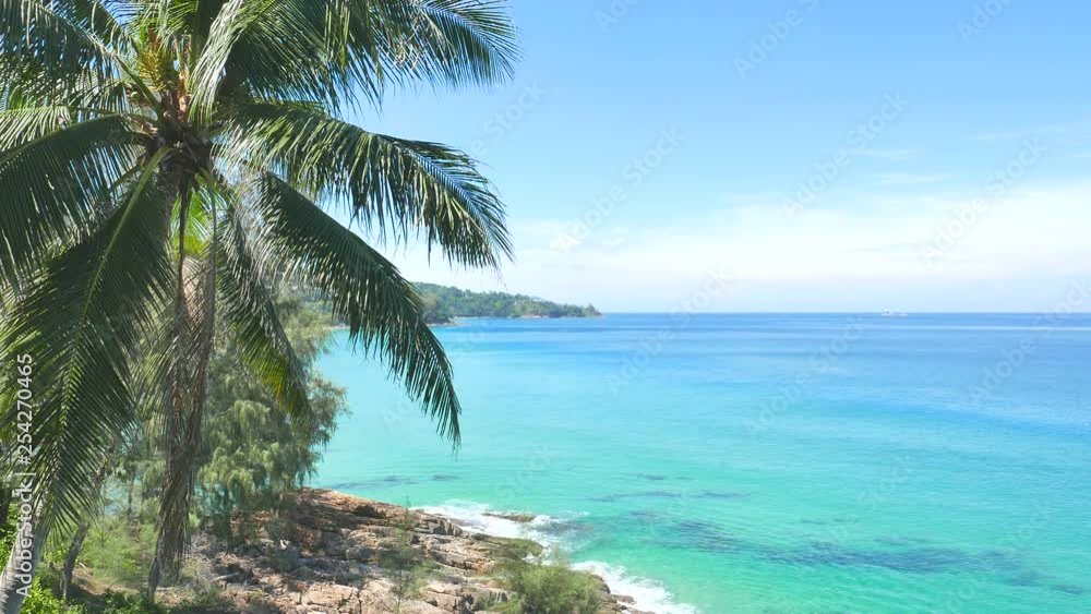 Palm tree blowing in the breeze on an island beach on a sunny day Palm tree blowing in the breeze on an island beach on a sunny day