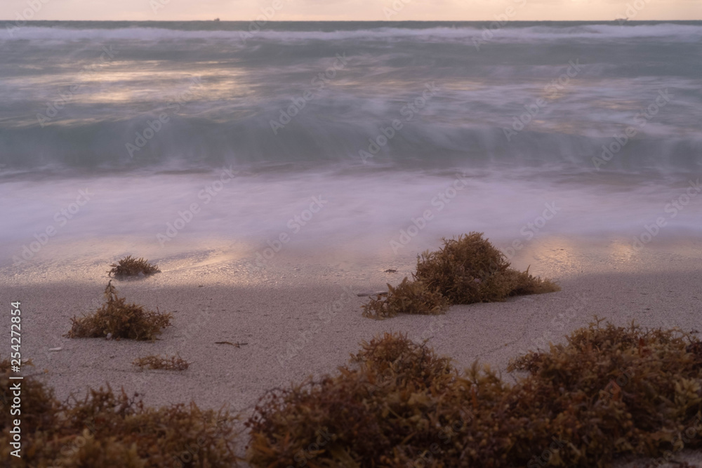 long exposure shot of waves breaking over the sand at Miami Beach in Florida with sea moss on the sand