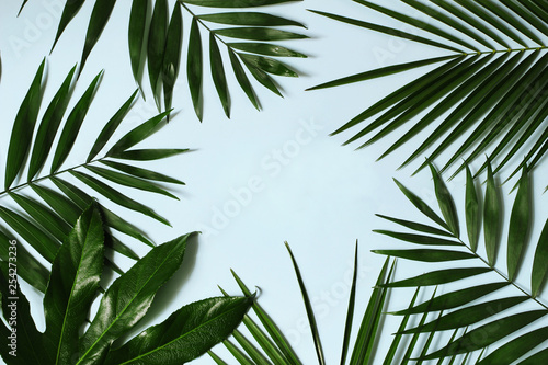 Styled stock photo. Jungle composition of green palm and aralia leaves isolated on blue table background. Tropical summer holiday  vacation concept. Flat lay  top view. Floral frame  web banner.