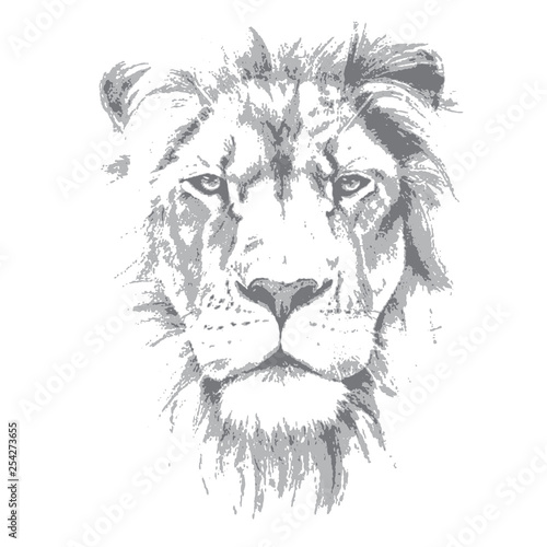 Lion head. Hand drawn vector illustration