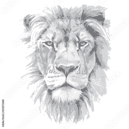 Lion head. Hand drawn vector illustration