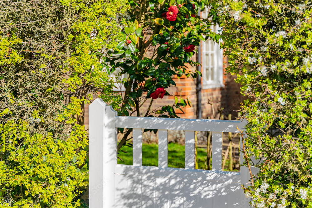 Fototapeta premium The pedestrian gate and garden of a typical English residential old London town house