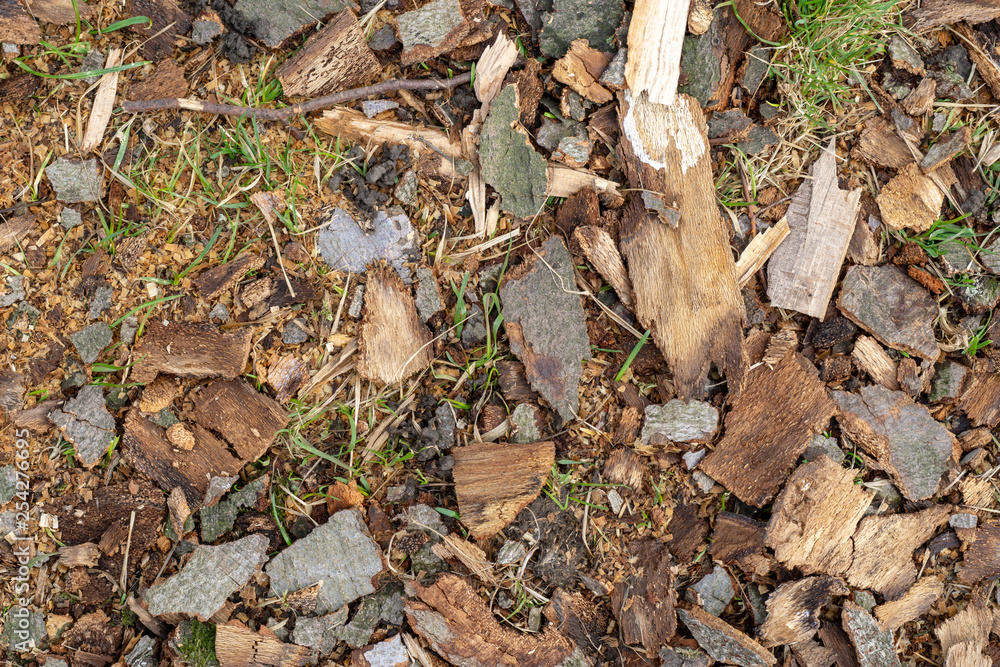 chopped beech tree bark chips or flakes in the garden chopped beech tree bark chips or flakes in the garden