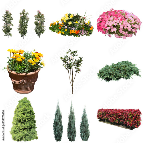 Plants,FlowerCutout