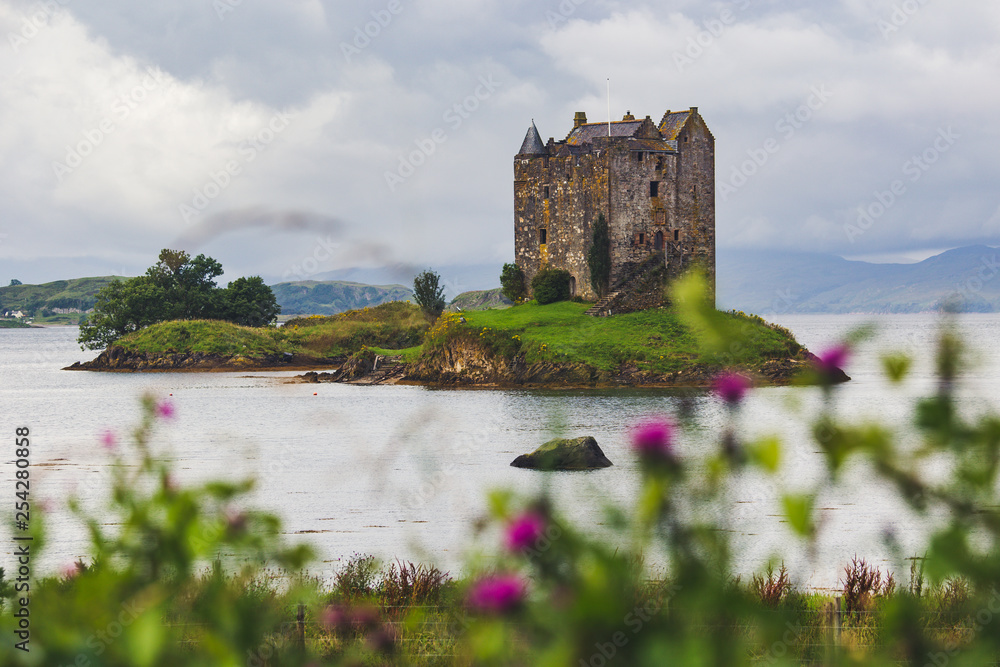 Castle Stalker four-storey tower house or keep in the Scottish highlands set on a tidal islet on Loch Laich, an inlet of Loch Linnhe in the summer with thistle scotland national flower