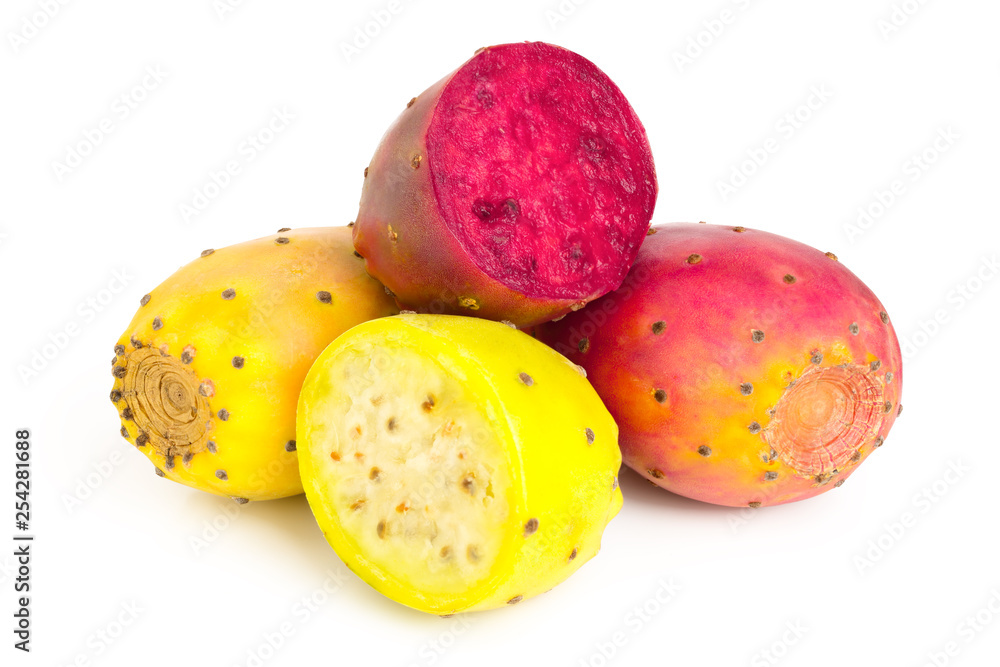 yellow and red prickly pear or opuntia isolated on a white background