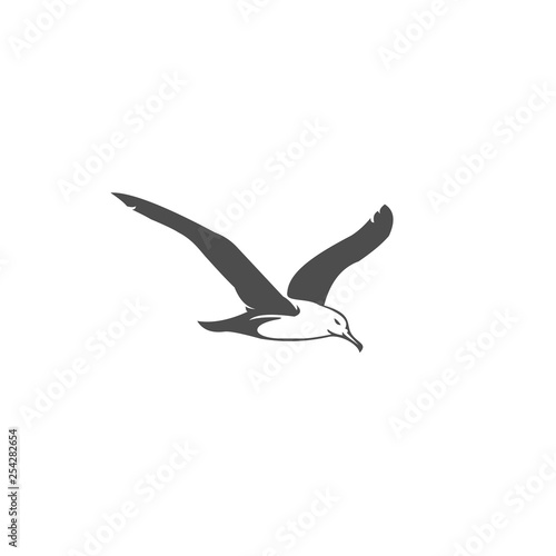 seagull vector illustration