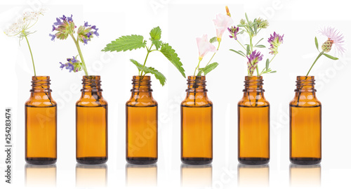 Bottles of essential oil with herbs holy flower.