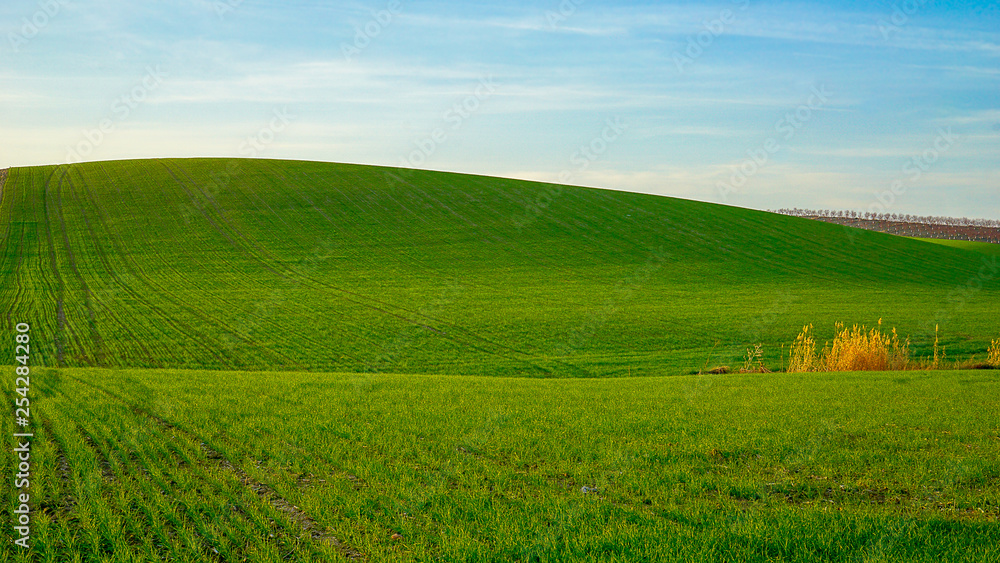 Obraz premium Countryside landscape II