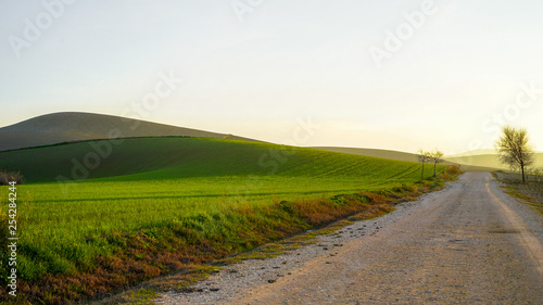 Countryside landscape IV