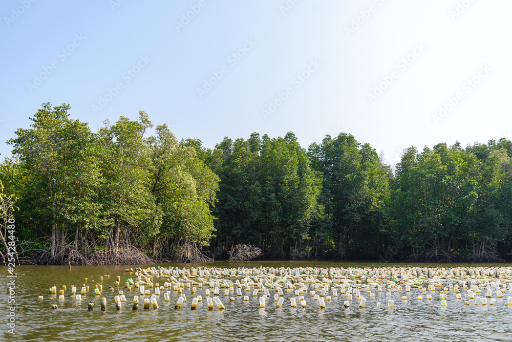 Aquaculture on brackish water at mangrove forest in Chanthaburi province, Thailand. Oyster, mussel or shell fish farm are built with recycling bottles and background of mangrove forest and blue sky.