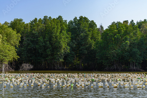 Aquaculture on brackish water at mangrove forest in Chanthaburi province, Thailand. Oyster, mussel or shell fish farm are built with recycling bottles and background of mangrove forest and blue sky.