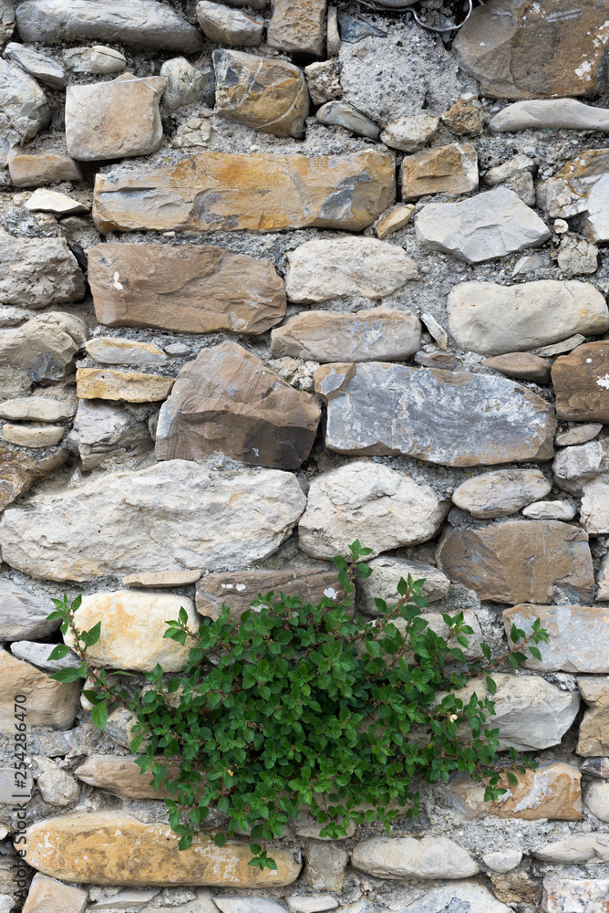 Detail view of an ancient stone wall in the village of Borgo Cervo in liguria Italy. Useful as a background. Detail view of an ancient stone wall in the village of Borgo Cervo in liguria Italy. Useful as a background.