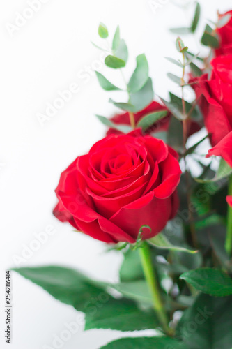 A bouquet of red roses on a white background. A gift for a loved one.