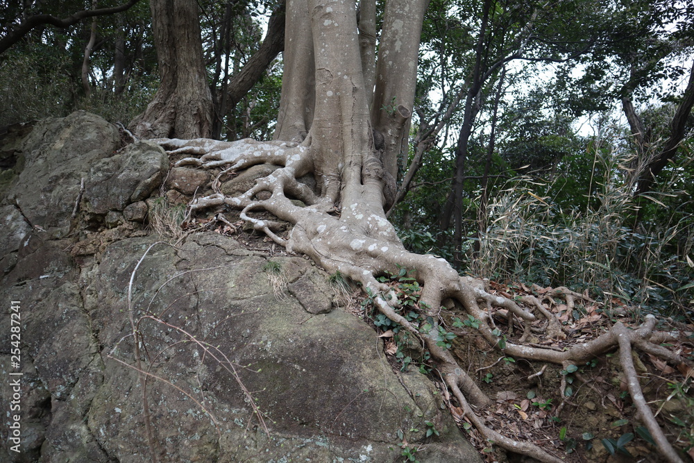 Kannonzaki Park