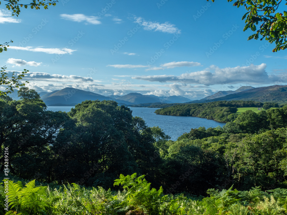 overview at a beautiful lake (loch lomond) on a sunny day with ferns
