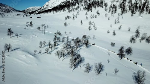 Aerial, static, drone shot, of dogs sledding people in sledges, between snowy mountains and leafless trees, in Norwegian wilderness, on a sunny, winter day, in Norway