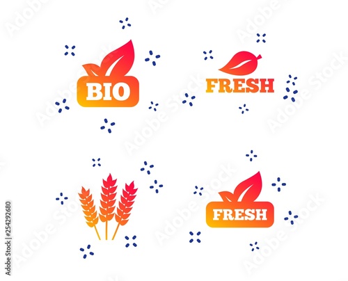 Natural fresh Bio food icons. Gluten free agricultural sign symbol. Random dynamic shapes. Gradient bio icon. Vector