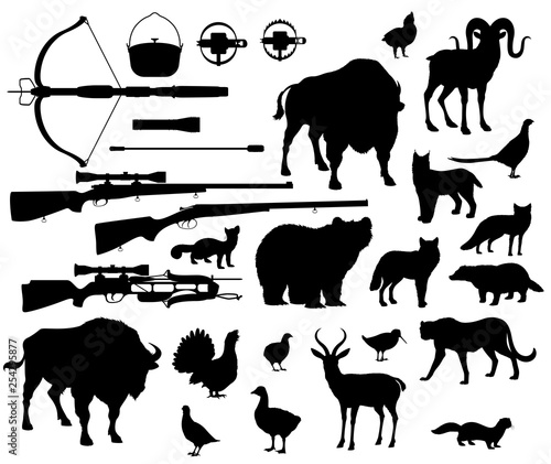 Hunting sport, animals and birds, shooting items
