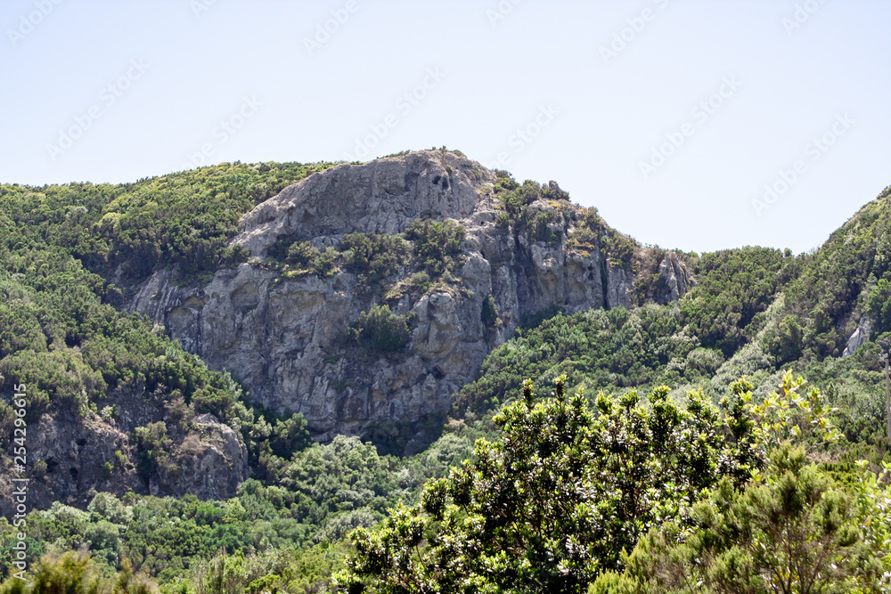 Naklejka premium big view over forest valley to a big rock