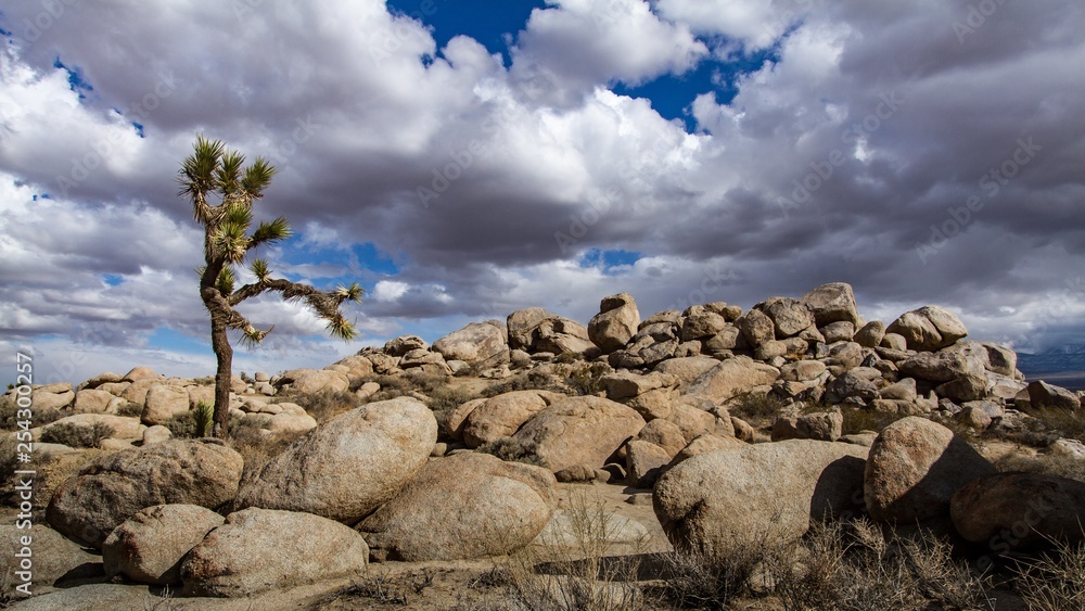 rocks and blue sky,stones, tree and stones, desert rocks, sky, beauty, landscape 