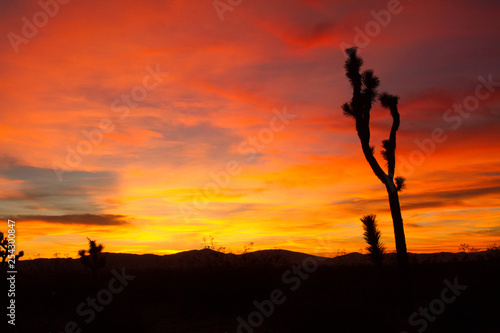 silhouette sunset, desert sunset, desert sky, landscape, nature, beauty